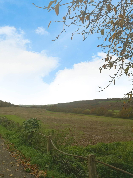 Photo 2 of New Road,, Bishops Tawton, Barnstaple