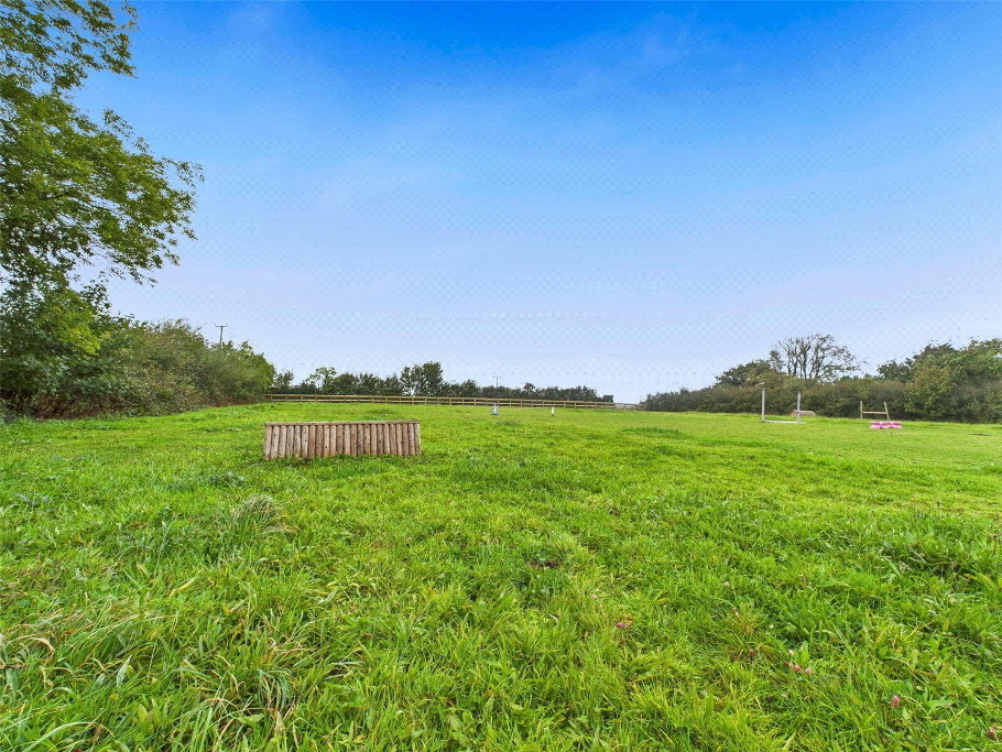 Fields