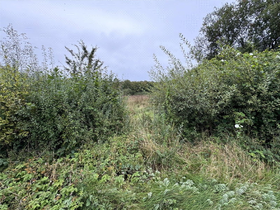 Picture No. 16