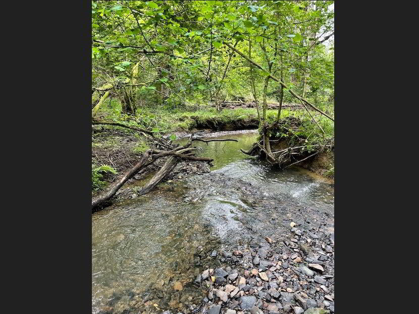 Stream