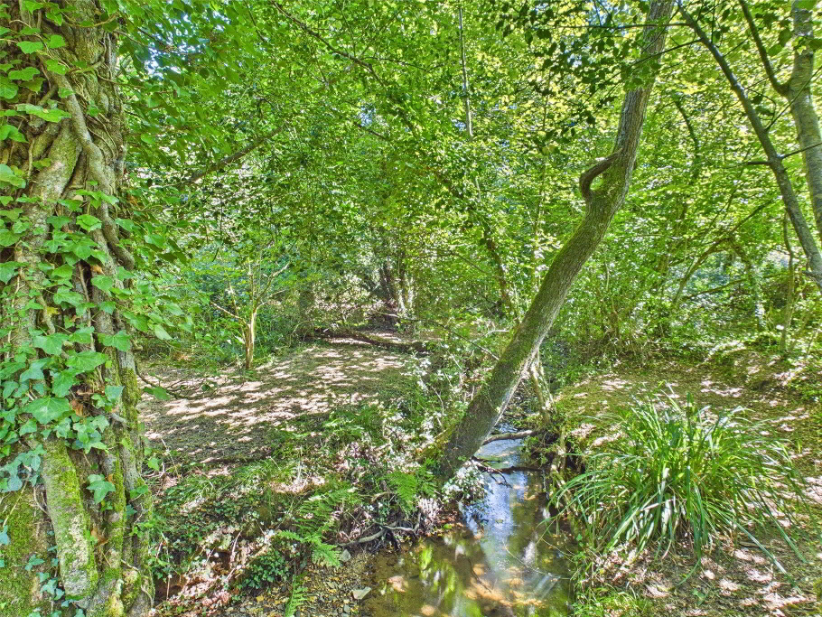 Meadow