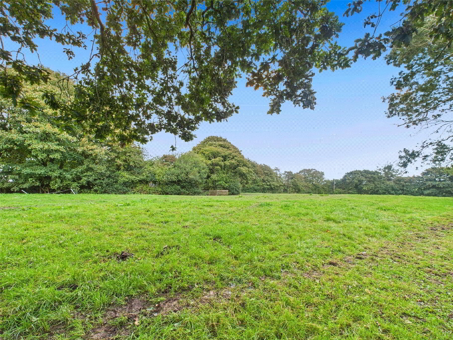 Top Field