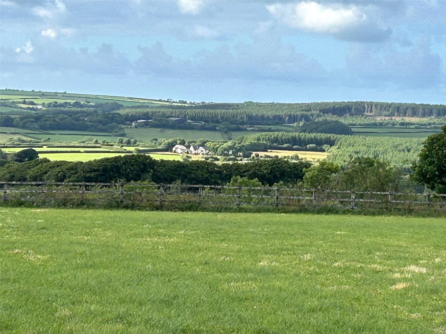 Paddock View
