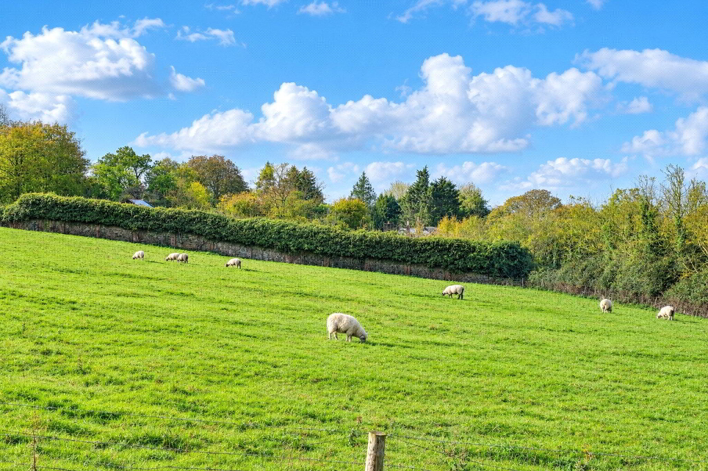 Picture No. 19