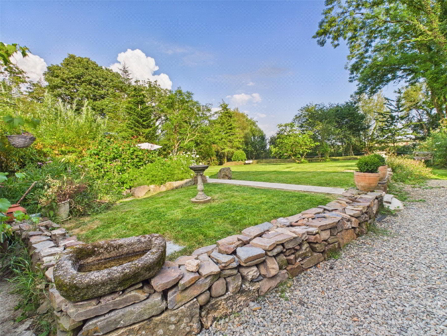 Back Garden