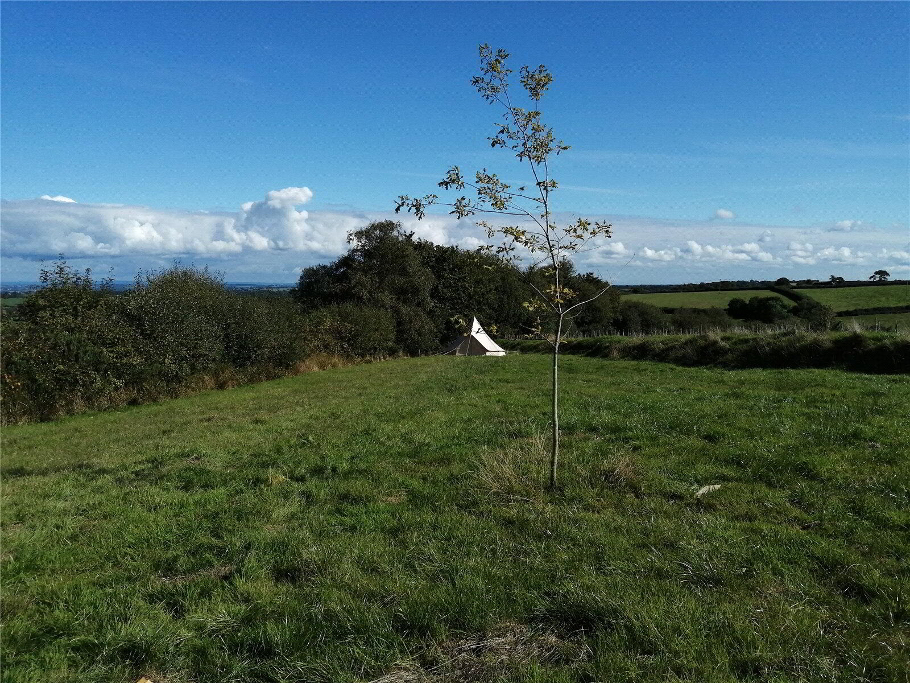 Land