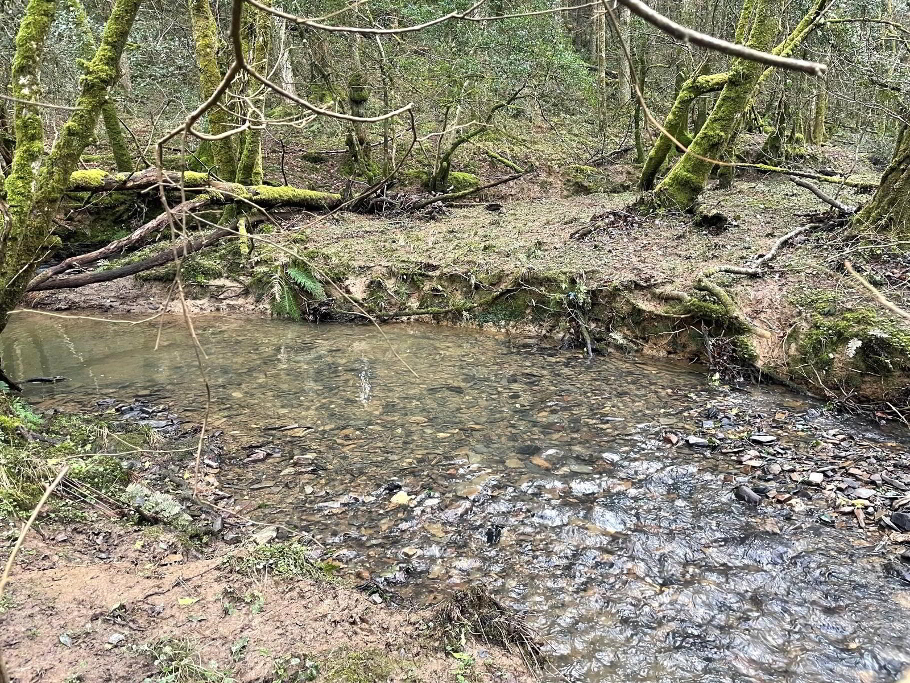 Stream