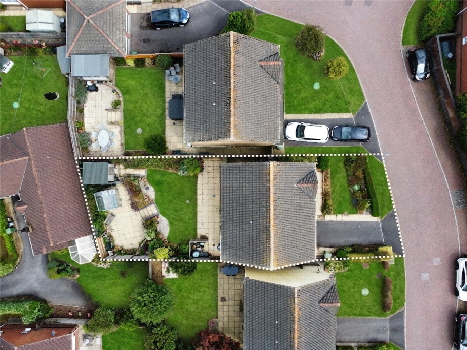 Birds Eye