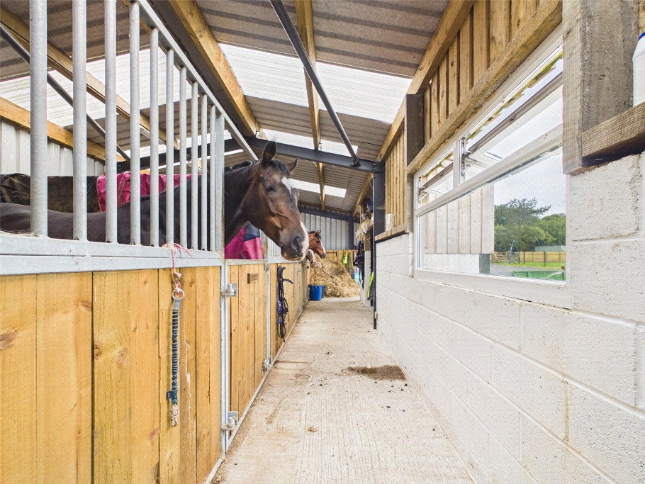 Stables