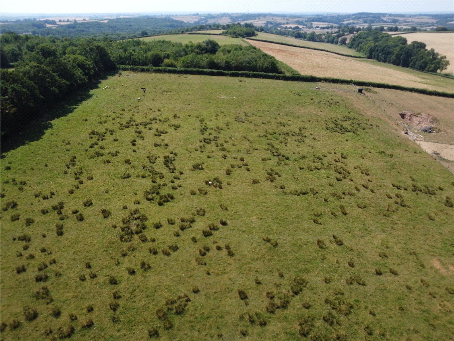 Photo 4 of Barn Adjacent To Cedar Barn, North Tawton