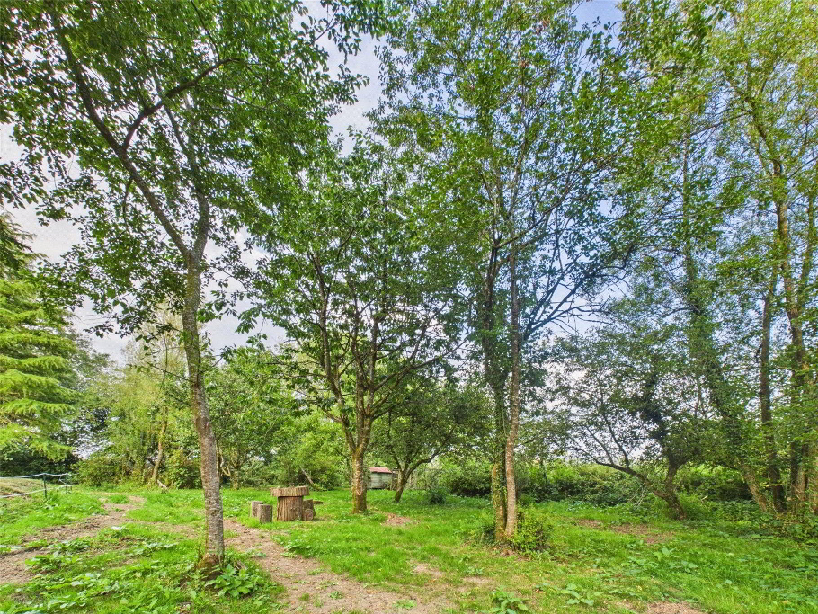 Orchard