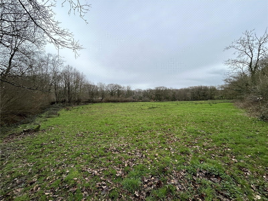 Ground Level