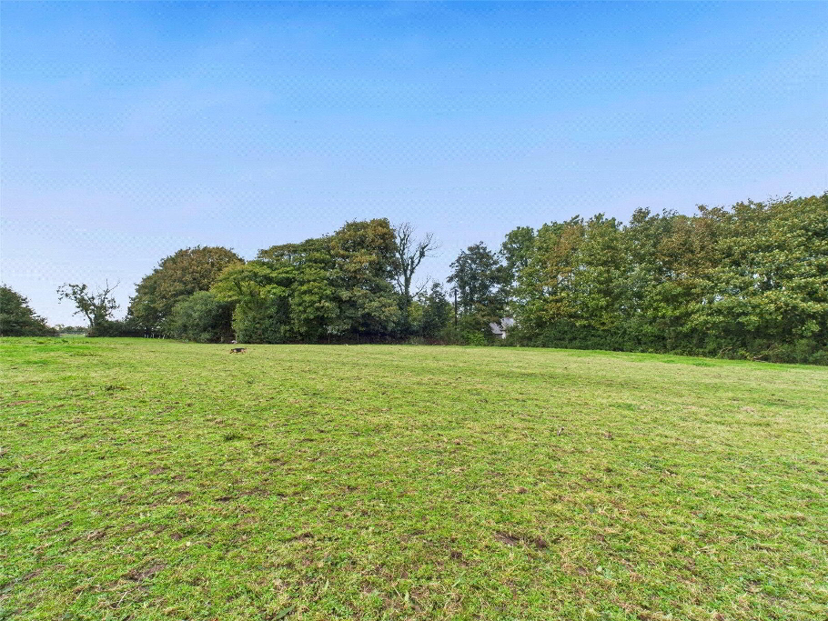 Bottom Field
