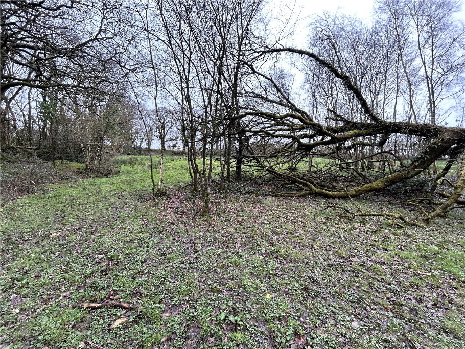 Ground Level 2