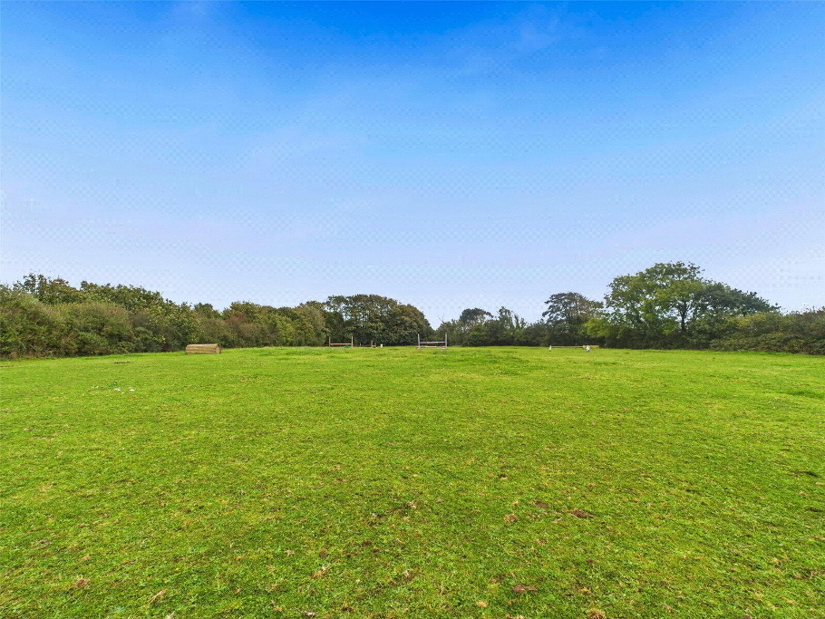 Top Field