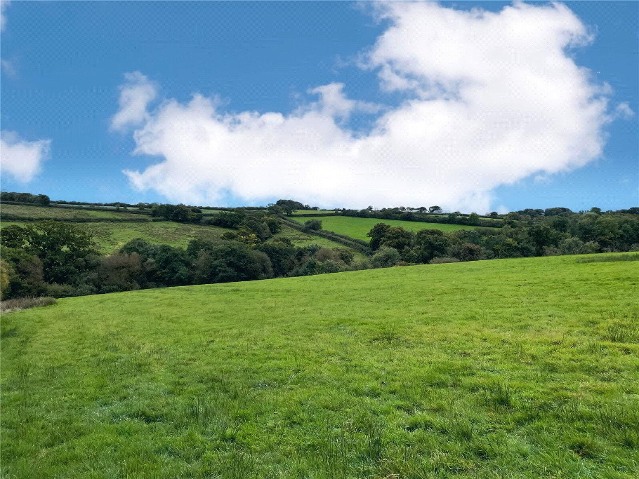Land
