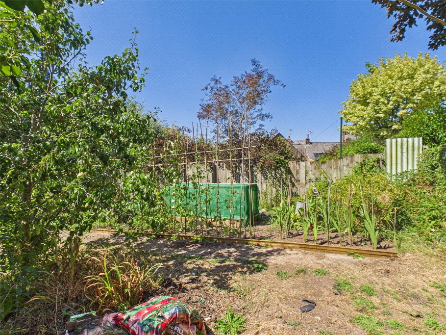 Veg Garden