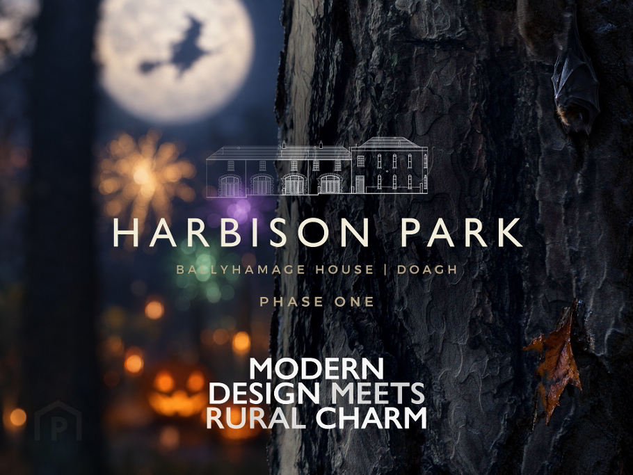 Photo 1 of Harbison Park, Doagh