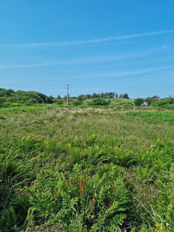Photo 1 of Saltpans, Maghery