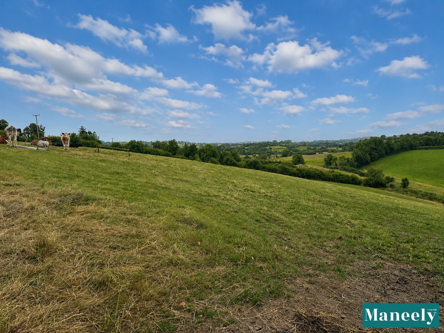 Photo 1 of 30 Ballybrolly Road, Tassagh, Armagh