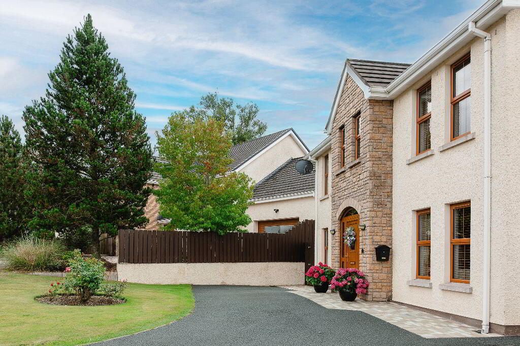  41 Torrent View