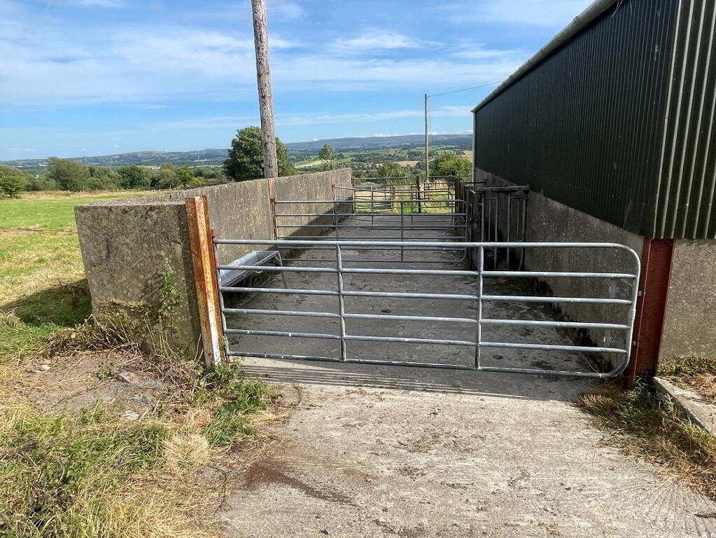 Photo 27 of 64 Carn Road, Castlederg