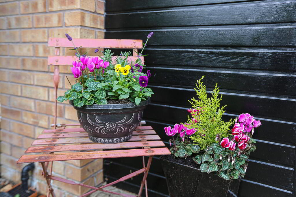 Photo 4 of 5 Shaftesbury Road, Bangor