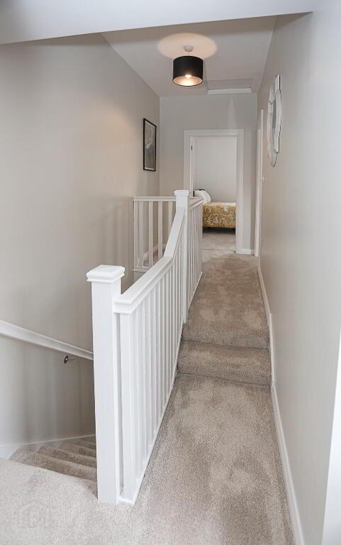 Photo 32 of 88 Greenore Street, Belfast
