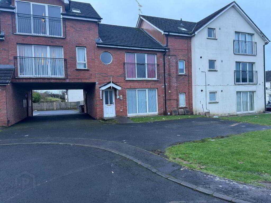 IMG_1042.jpg