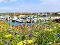 Photo 5 of Mariners Park, Ardglass