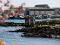 Photo 20 of Mariners Park, Ardglass