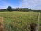 Photo 3 of Building Site A, Between 23 & 23a Newry Road, Poyntzpass, Newry