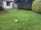 Photo 3 of 26 Inglewood Avenue, Coleraine