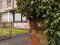 Photo 4 of 18 Seagoe Road, Portadown