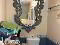 Photo 49 of Country House, Murcia