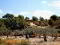Photo 7 of Country House, Murcia
