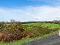 Photo 16 of 55 Drumaghlis Road, Crossgar, Downpatrick