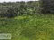 Photo 8 of 37 Derryhubbert Road, Clonmore, Dungannon