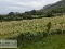 Photo 13 of 418 Lough Shore Road, Belleek, Enniskillen