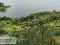 Photo 66 of 418 Lough Shore Road, Belleek, Enniskillen