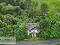 Photo 6 of 418 Lough Shore Road, Belleek, Enniskillen