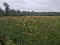 Photo 1 of Stranafeley Road, Brookeborough