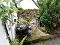 Photo 15 of 56 Shore Road, Millisle, Newtownards