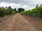 Photo 4 of 100m South Of, 22 Luney Road, Magherafelt
