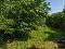 Photo 22 of 7 Pattons Grove, Newtownards