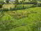 Photo 15 of Site 150m North Of 21, Tullyallen Road, Killymaddy, Dungannon