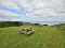 Photo 24 of Seal Bay Cottage, 4 Ballyhaskin Cottages, Ballywalter Road, Millisle