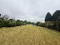 Photo 34 of 42 Harberton Park, Ballymena