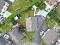 Photo 4 of 5 Tullybrannigan Drive, Newcastle