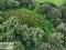 Photo 8 of Lands At, Lisgobban Road, Benburb, Dungannon